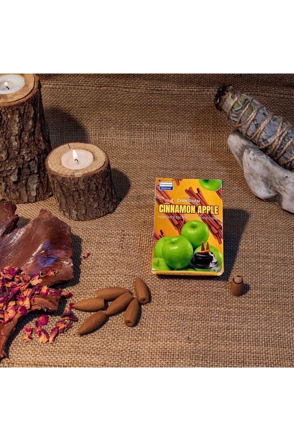Cinnamon Apple Backflow Back Flow Incense 10pcs