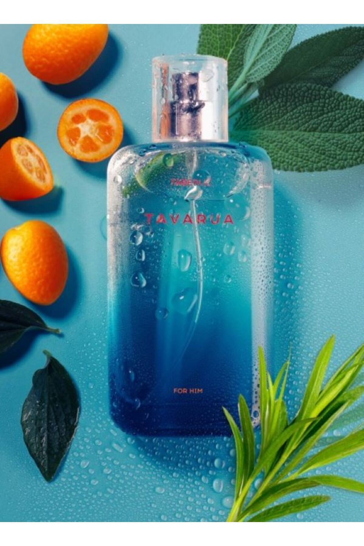 عطر مردانه TAVARUA MALE ادوتویلت 100 ML 3253 Faberlic