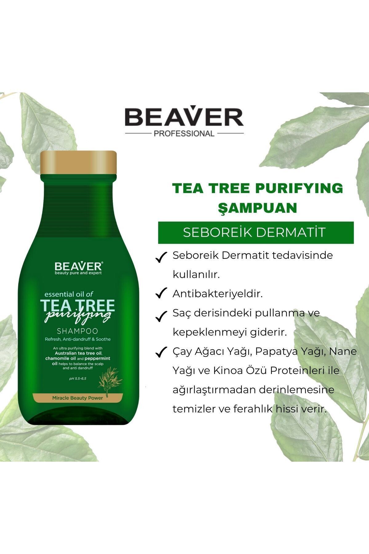 Beaver-شامبو شجرة الشاي مع تفاصيل مستخلص شجرة الشاي - 350 مل 2