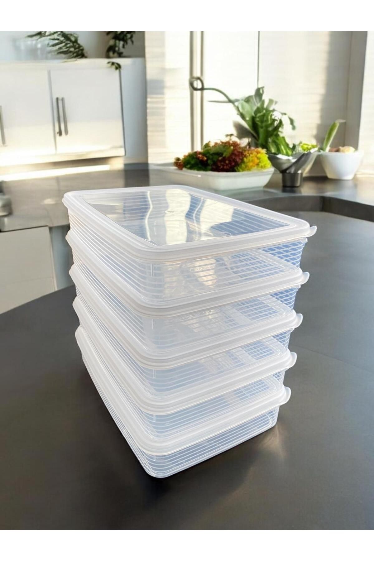 NEED BOX-2.5 Liter Medium Size Set of 5 - Food Storage Container, Transparent 1