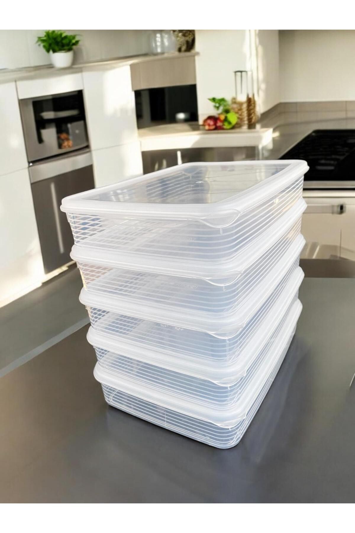 NEED BOX-2.5 Liter Medium Size Set of 5 - Food Storage Container, Transparent 3