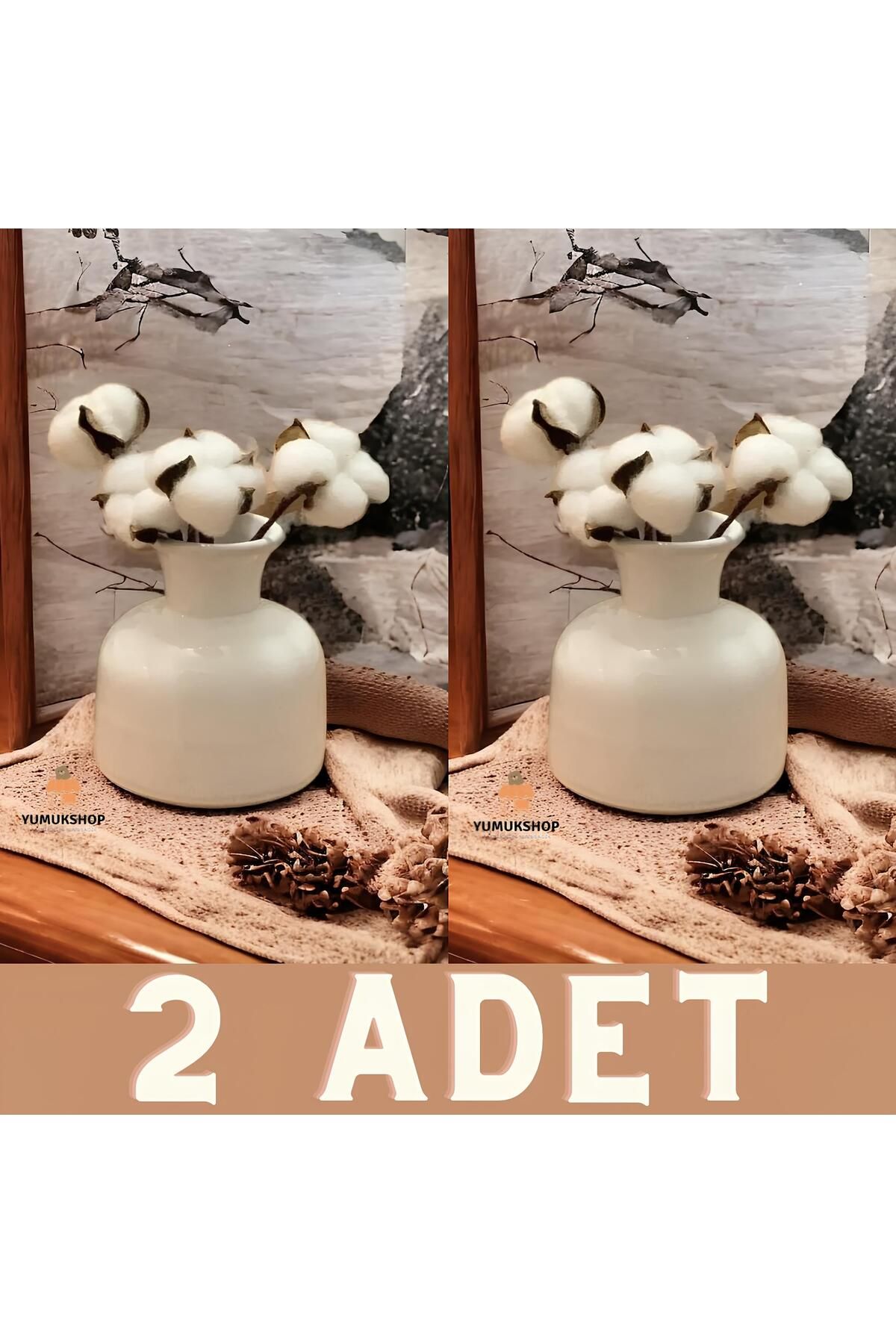 2-Piece Decorative Minimal Vase Set