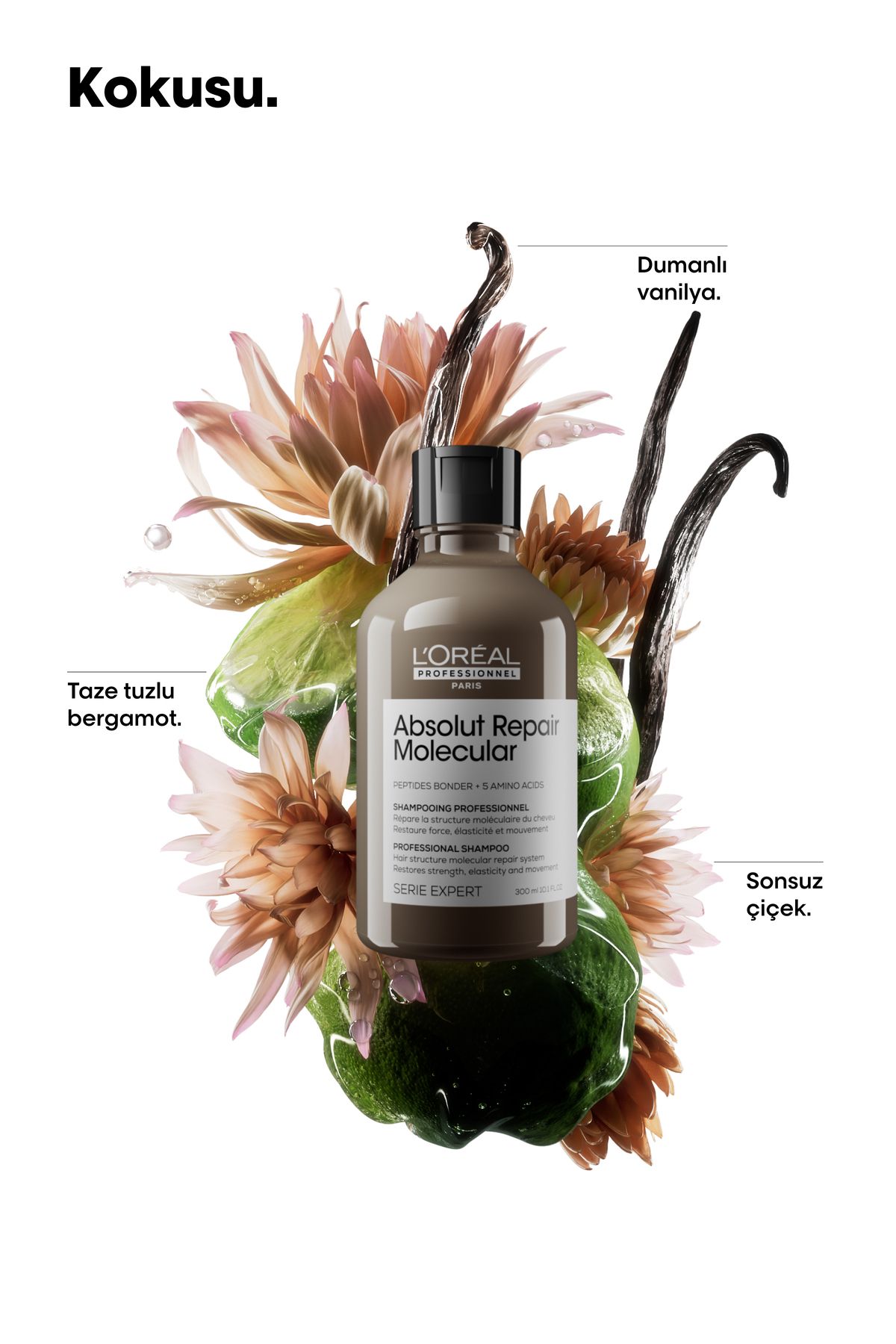 L'oreal Professionnel-Expert Absolut Repair Molecular - دمشقي منقي لجميع الشعر التالف 4