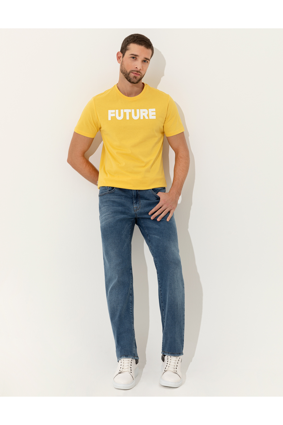 تیشرت مردانه طرح دار آستین کوتاه | پیر کاردین Pierre Cardin 596187 - تصویر 4