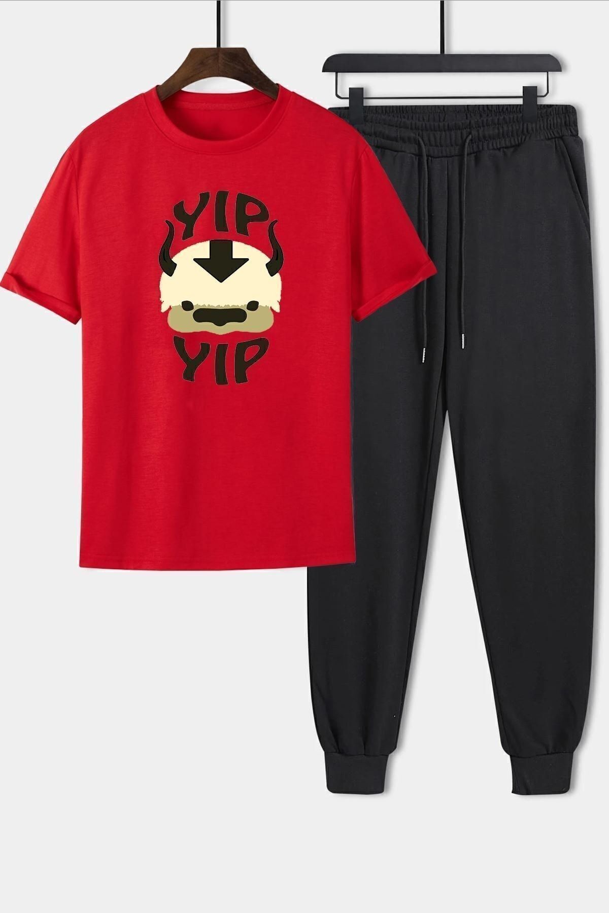 uyguntarz Dwuczęściowy Zestaw Dresów Unisex Z Nadrukiem Avatar Appa Unisex - 42