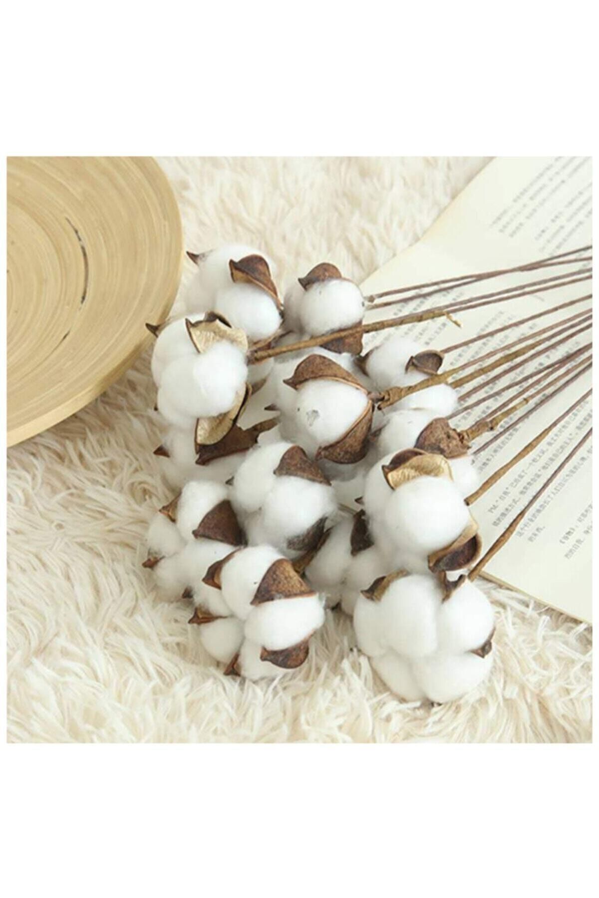 flocon de coton séché 10 menstruations