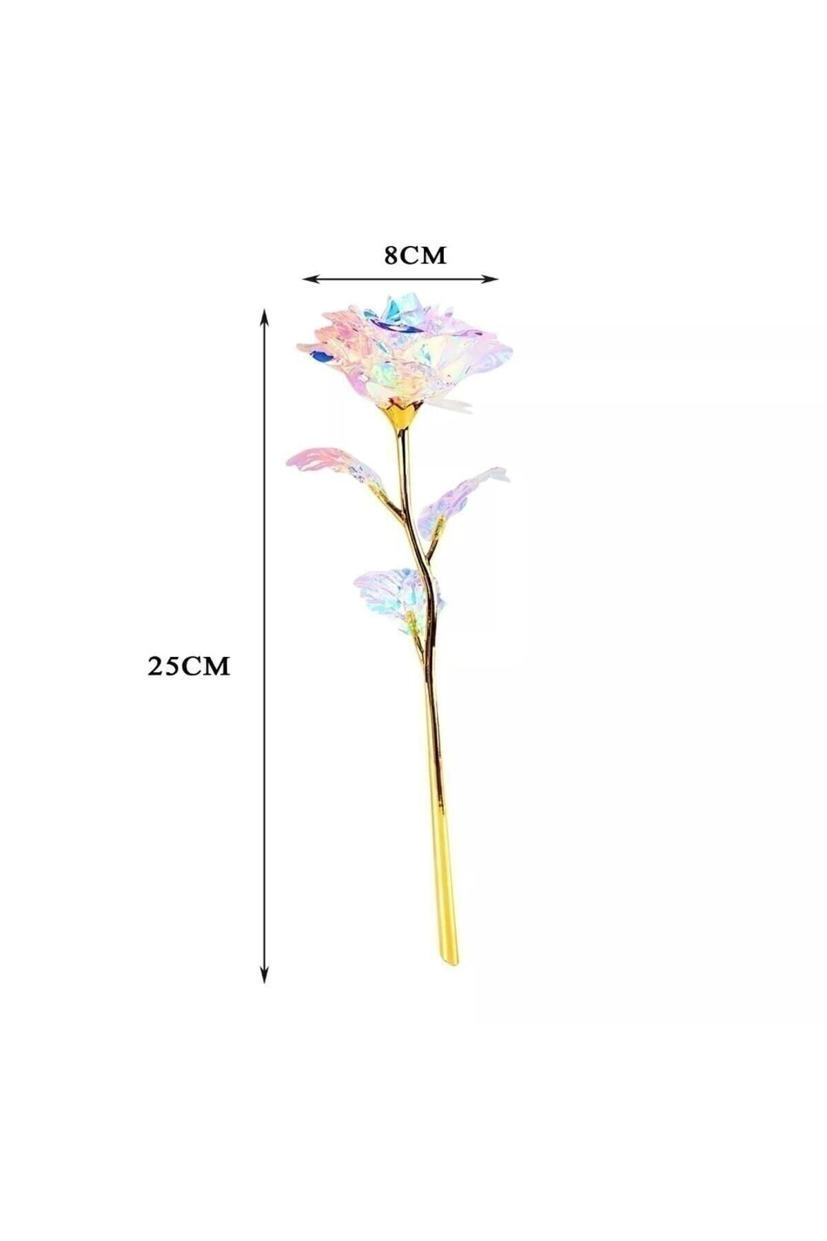 https://cdn.dsmcdn.com/ty1547/product/media/images/ty1547/prod/QC/20240915/14/dcda5f6d-bad8-3d2b-9593-48a7faf944a3/1_org_zoom.jpg