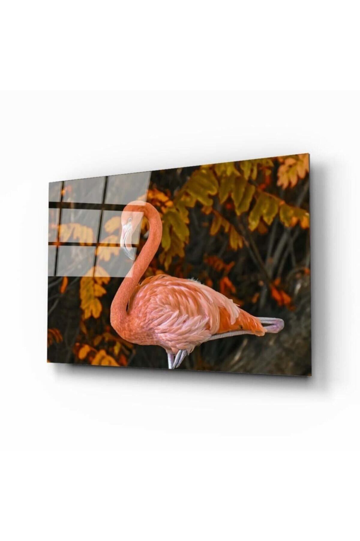 MOONFER Flamingo 2 Cam Tablo