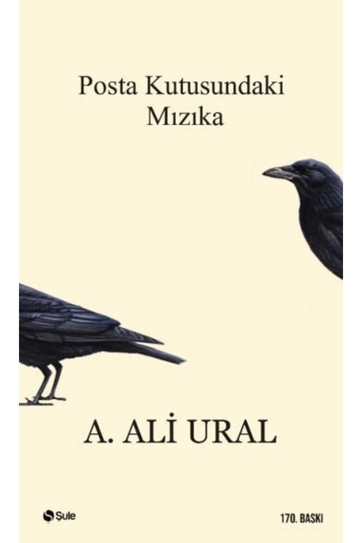 Genel Markalar Posta Kutusundaki Mızıka