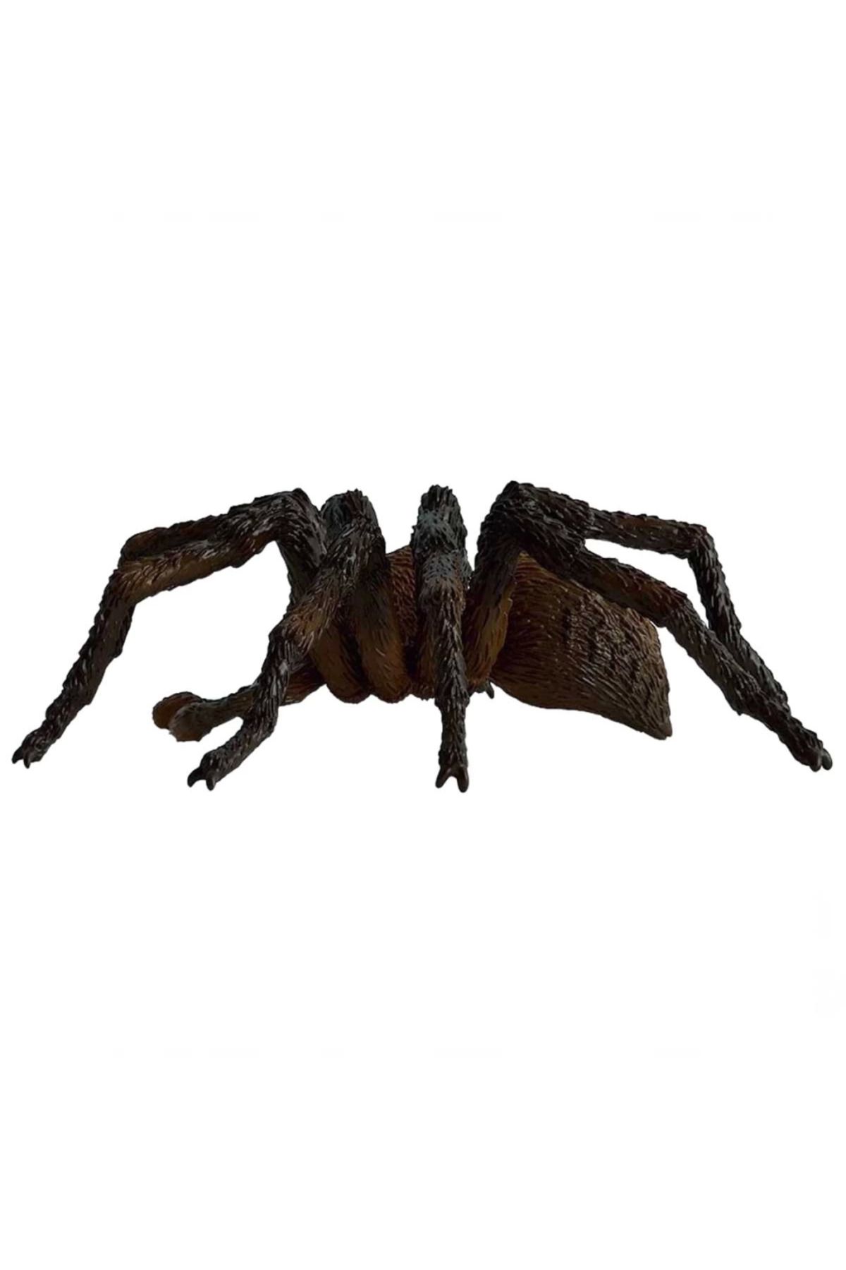 gcaksesuar Nessiworld Schleich HP Aragog 13987