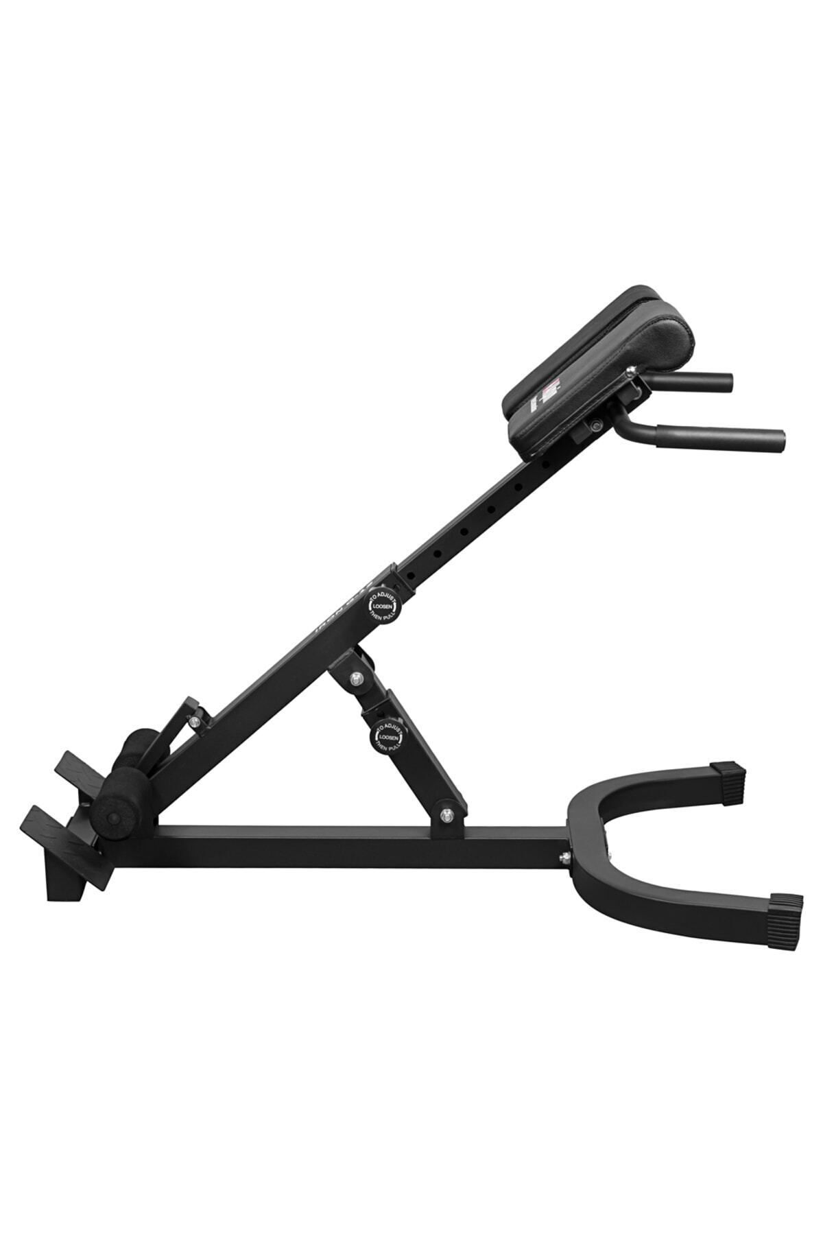 alpin fit Hyperextension Ters Mekik Aleti Alpin Iron G-12