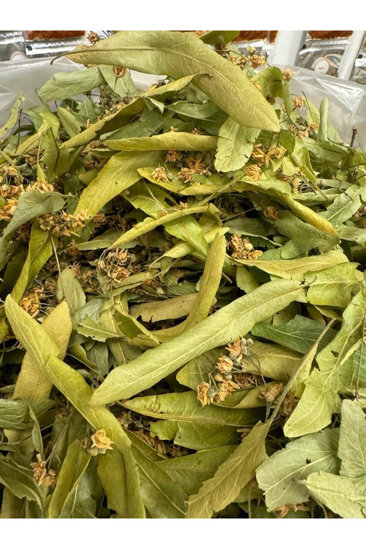 kapadokya ottoman kuruyemiş YAPRAK IHLAMUR 100gr