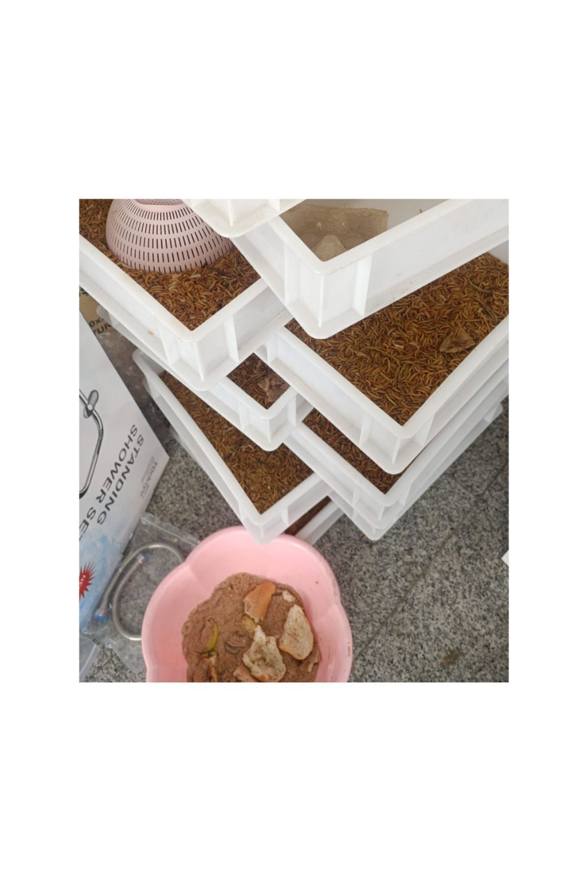 ŞİFAGIDA Yem 50gr Unkurdu Balık Gecko Kuş Civciv 50 gr