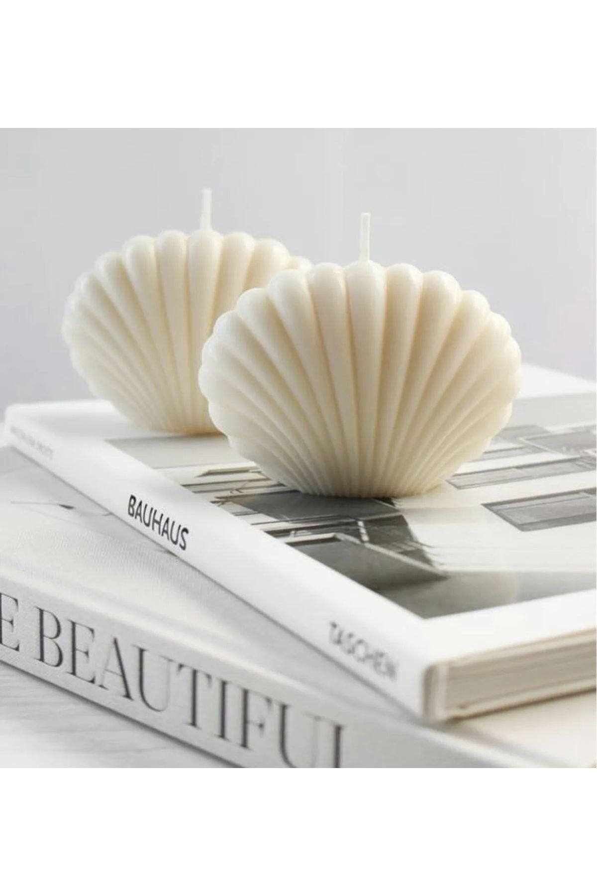 LARGE OYSTER CANDLE WITH 2 SCENTS