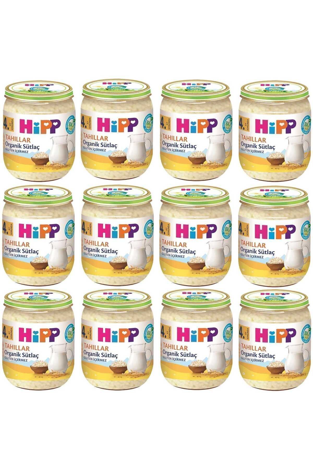 Hipp Kavanoz Maması Organik Sütlaç 125 gr 12 Adet