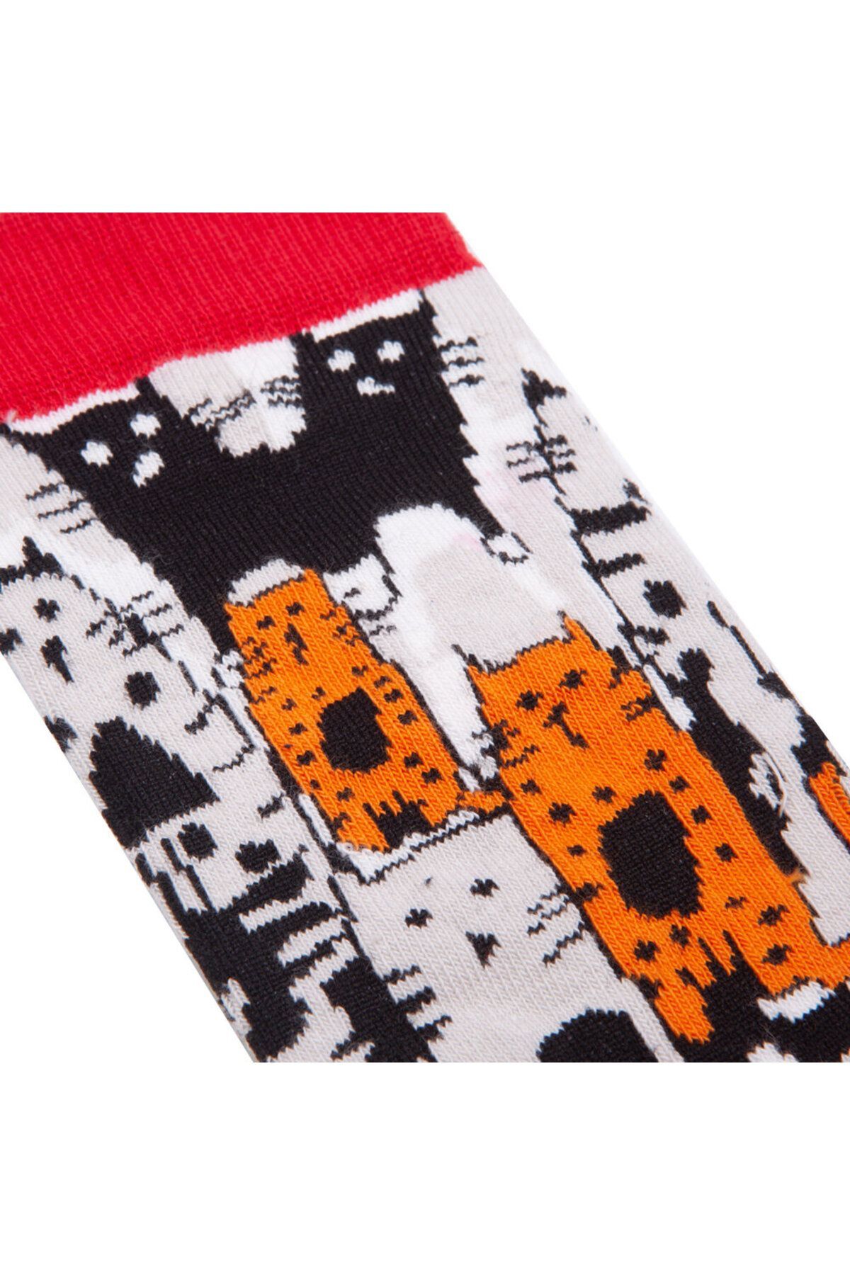 Biggdesign-Women's Sock Set 5