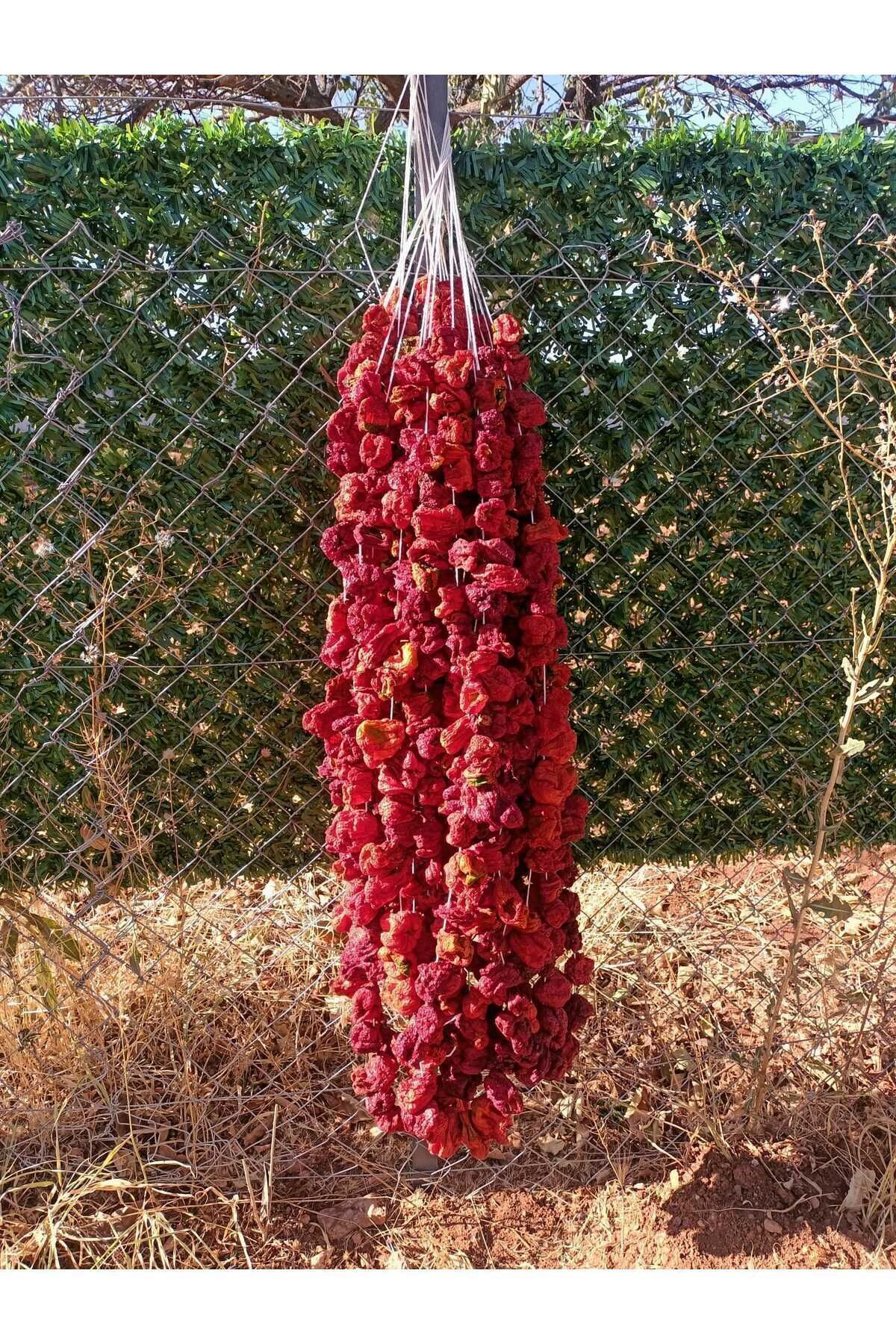 GÖNÜLDEN LEZZETLER KURUTULMUŞ DOLMALIK ACI BİBER