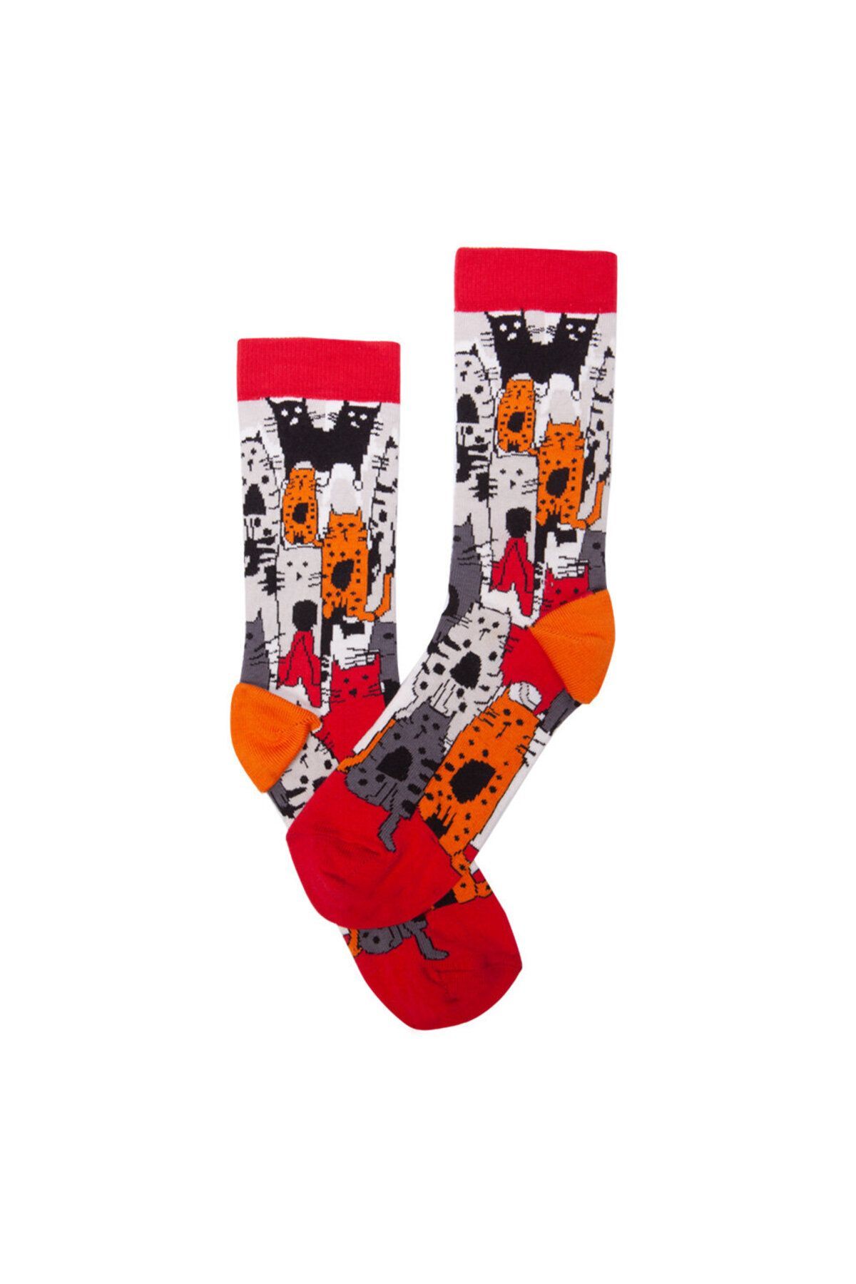 Biggdesign-Women's Sock Set 2
