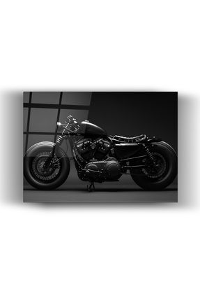 Genel Markalar Cam Tablo Harley Motor - Duvar Dekorasyonu - Ofis Dekorasyonu Dk