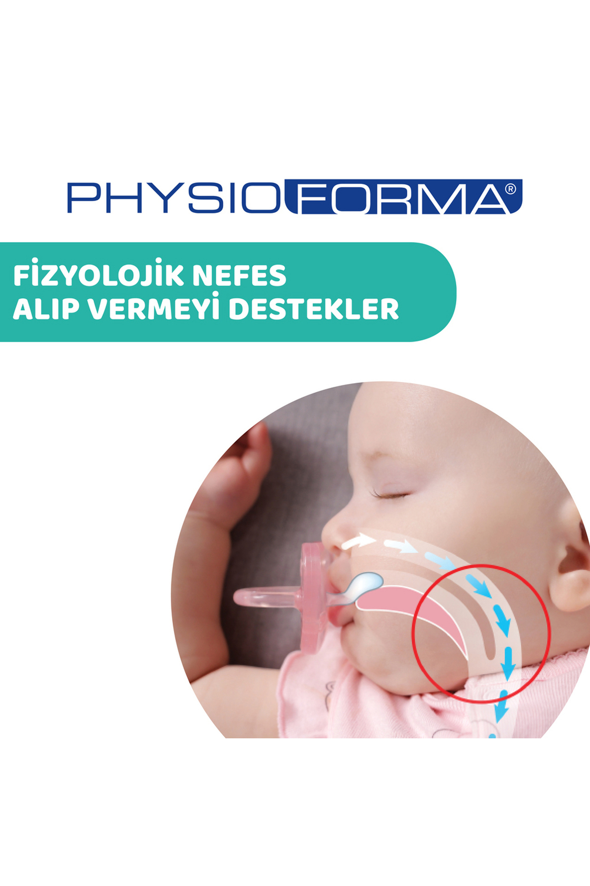 Chicco Physıoforma Mını Soft Kız 2-6 Ay 2'li fotoğrafı 4 (önizleme)