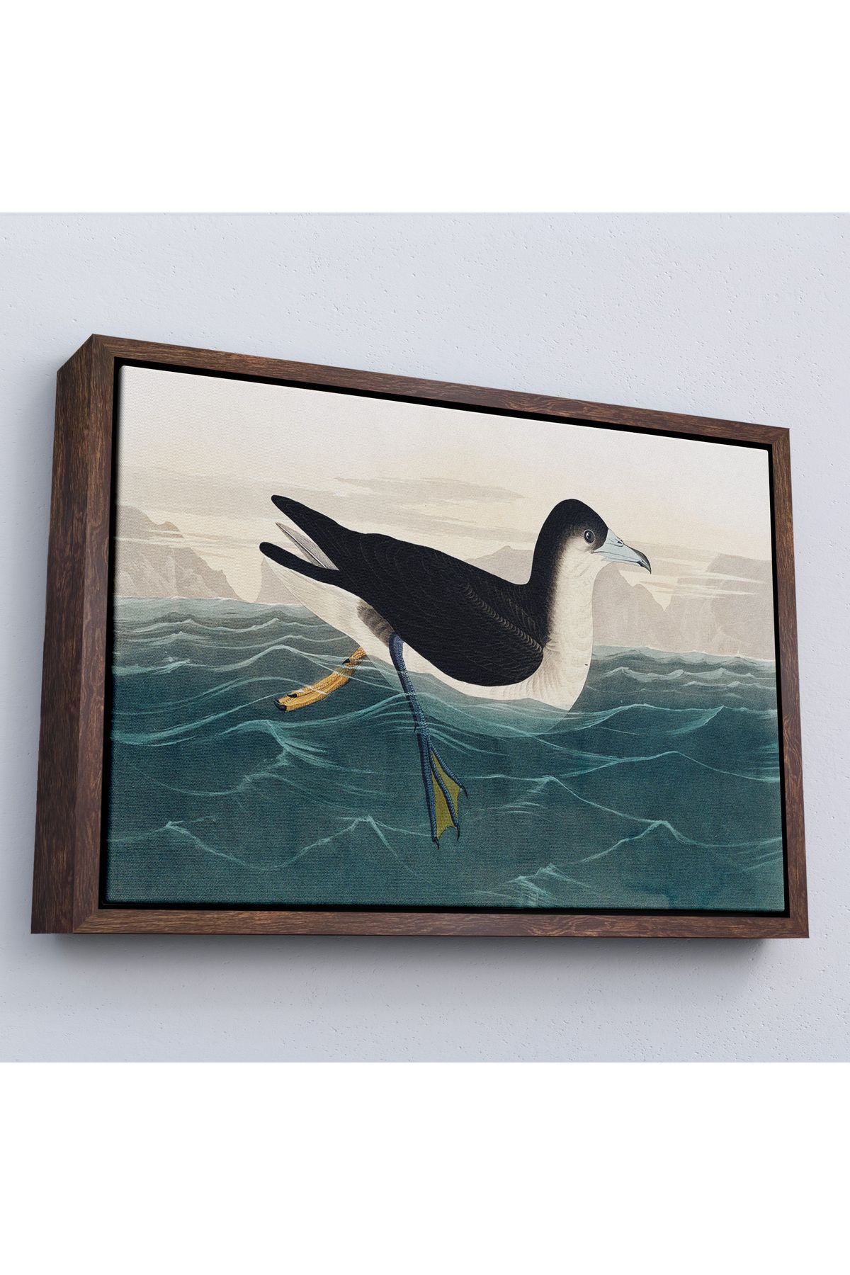 Jusoon Çerçeveli Robert Havell, John James Audubon Esmer Kuş Tablosu-7034