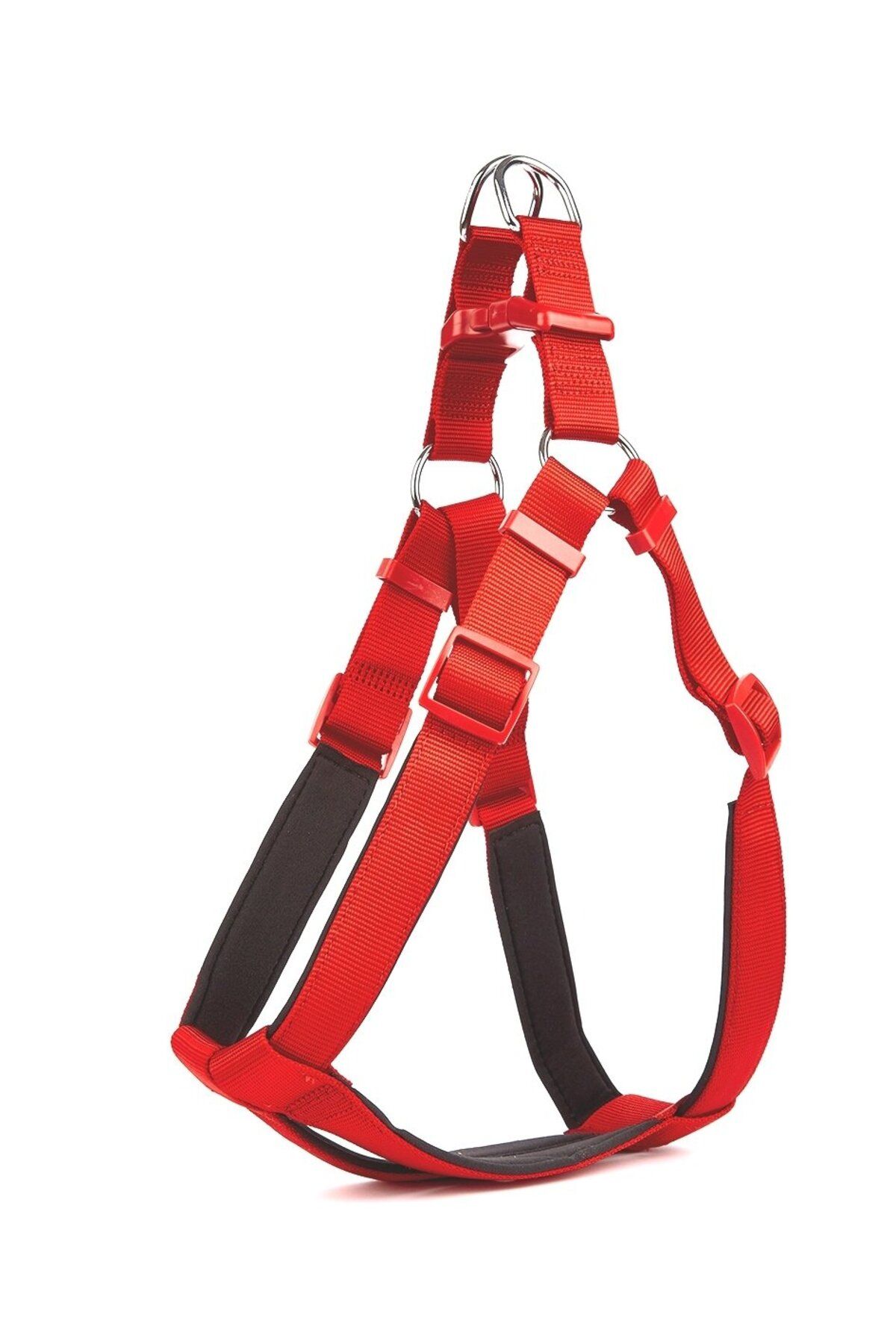 Angoravi Köpek Bel Tasması 3cm-75 x 85 cm 3X-Large Kırmızı