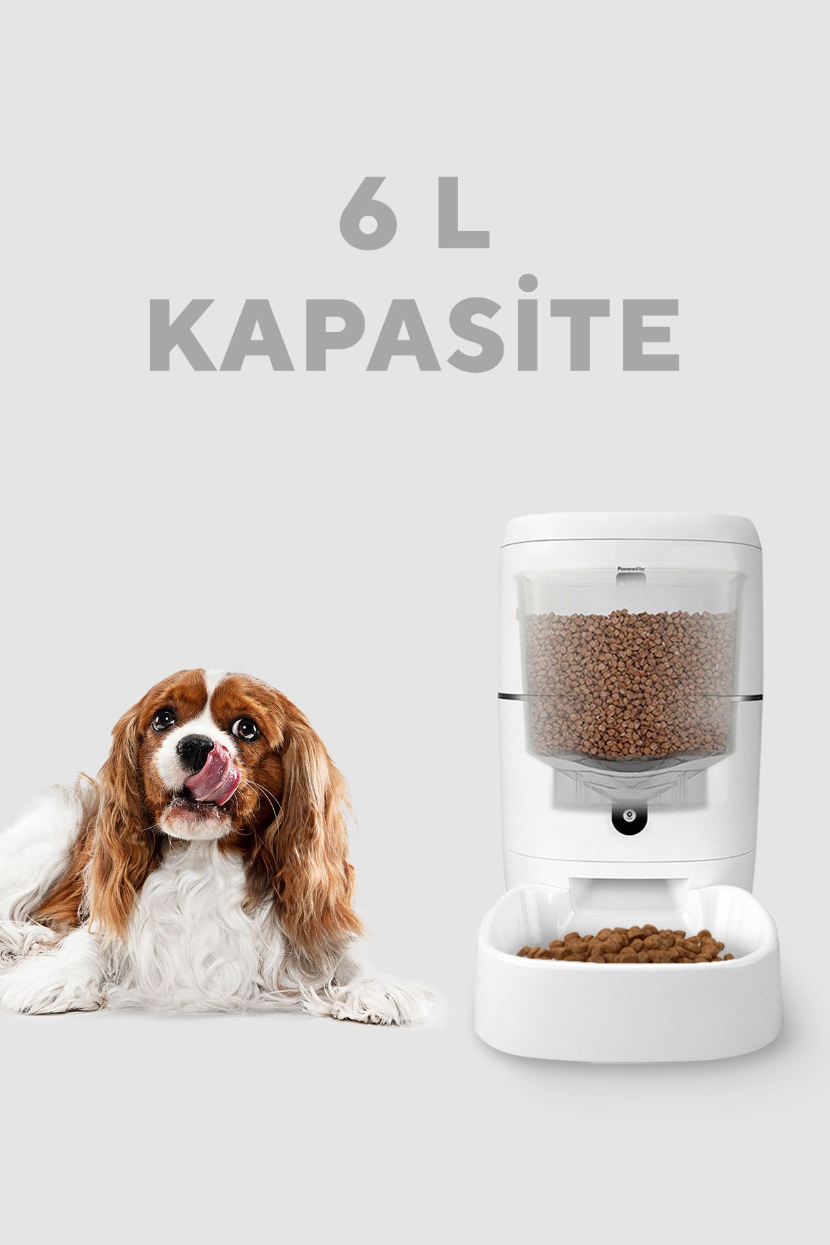 S-LINK-6l Smart Automatic Food Container with Camera Cat Dog Pet Feeder Food Container, Smart Feeder 4