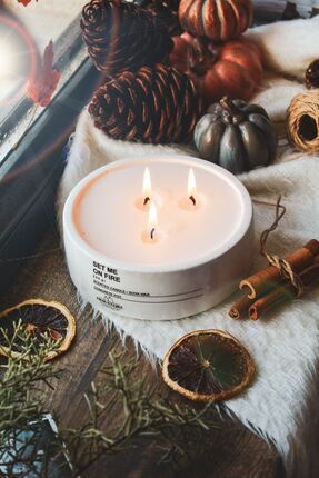 ersustore Büyük Boy Tarçın & Elma Kokulu Mum, Beton Saksılı Dekoratif Vegan S...