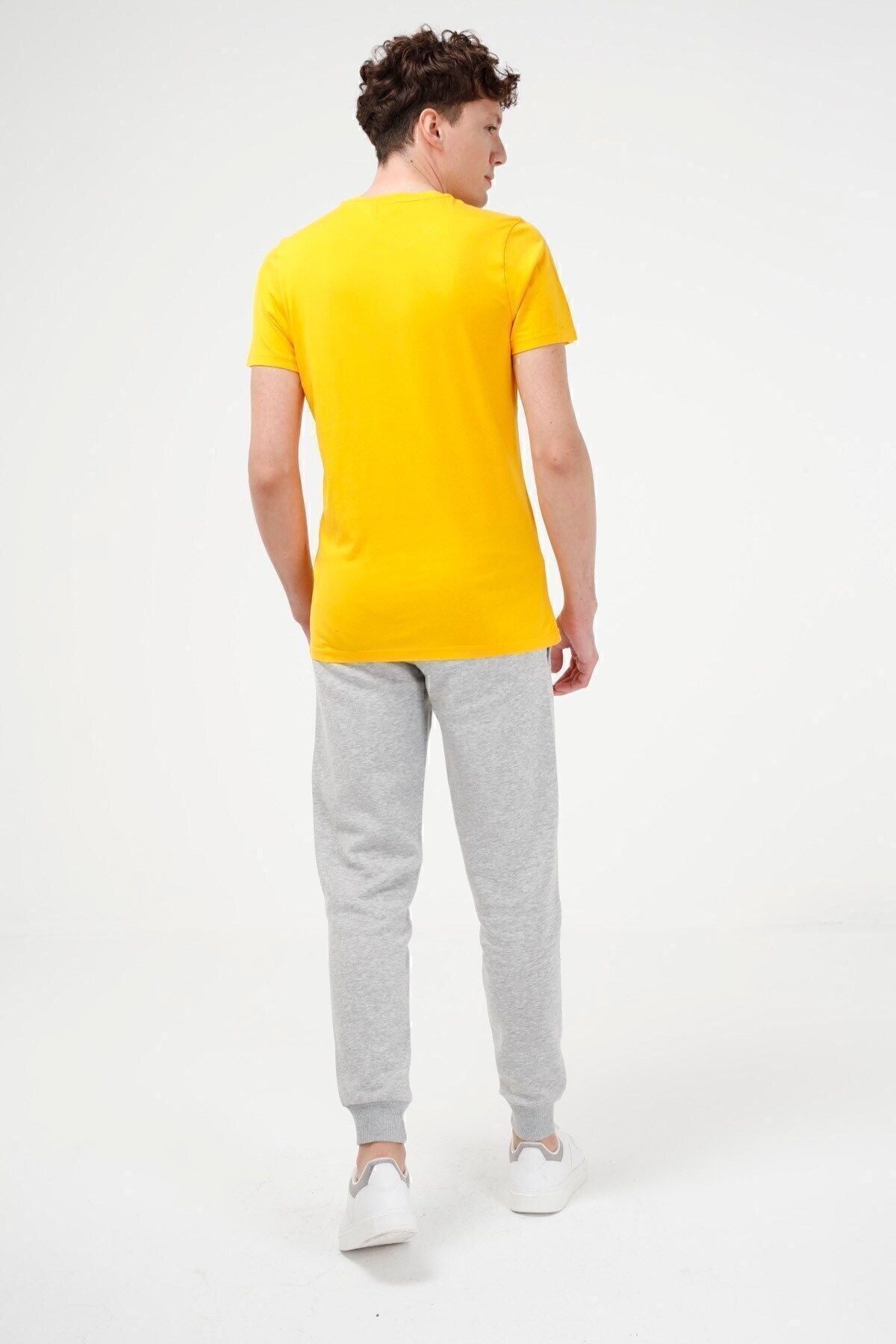 BRZ COLLECTION-Men's Modal T-shirt 5