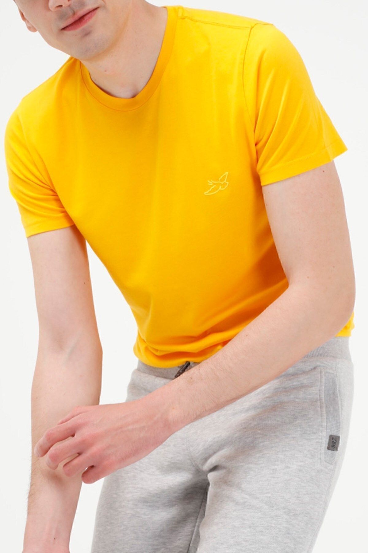 BRZ COLLECTION-Men's Modal T-shirt 3