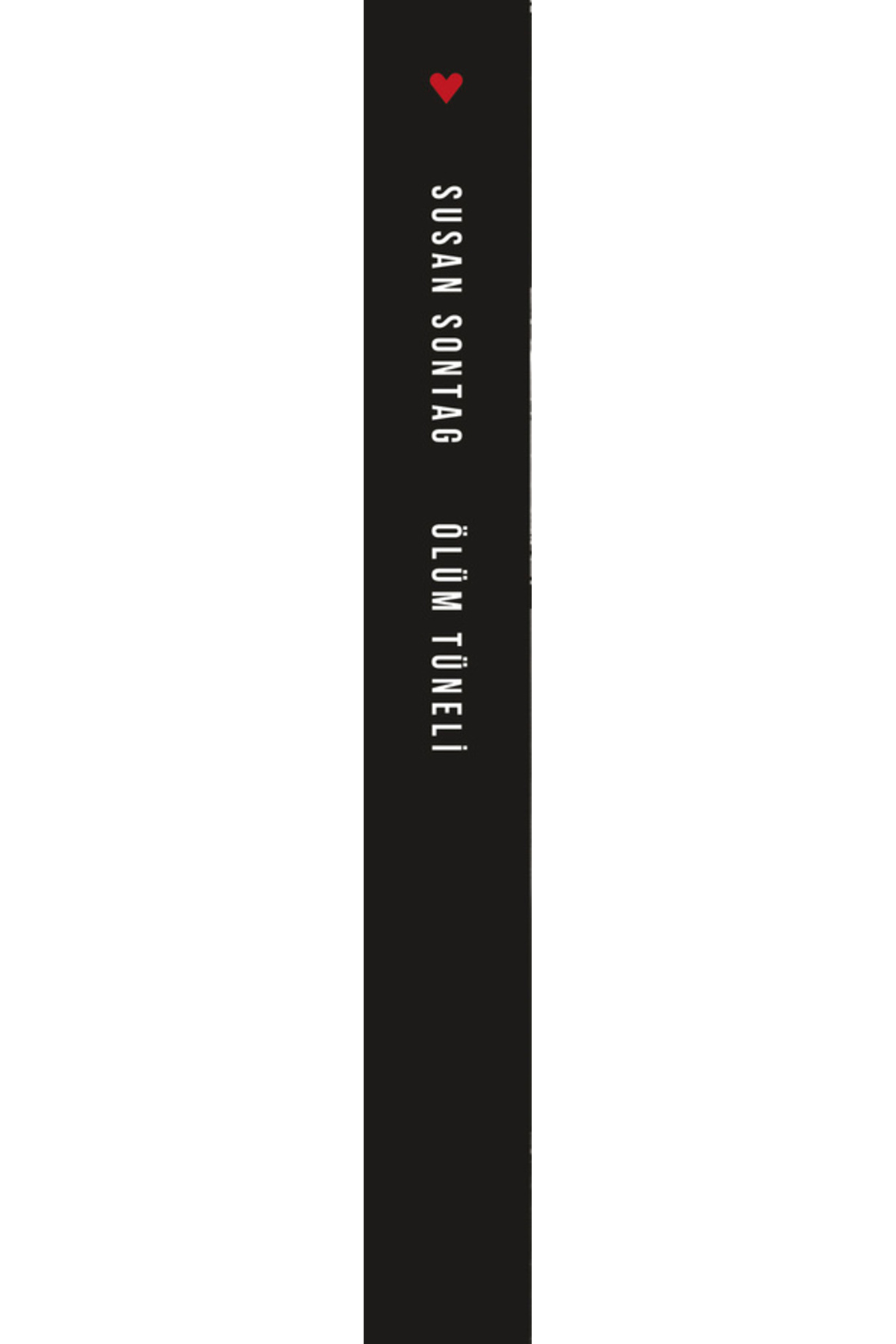 Susan Sontag Can Yayınları Roman Modelleri, Fiyatları - Trendyol