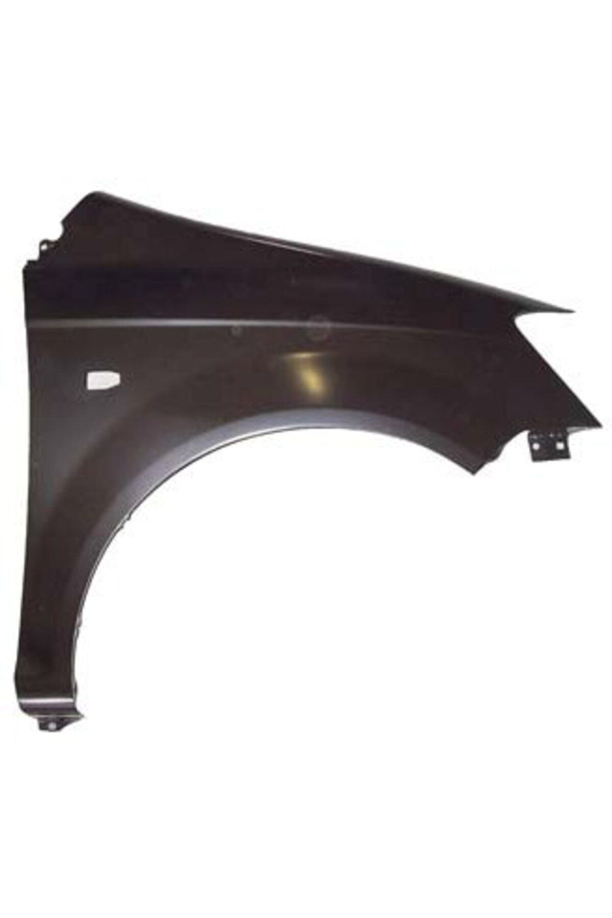 FAM Hyundai Getz 03/05 Ön Çamurluk Delikli Sağ (Tw)