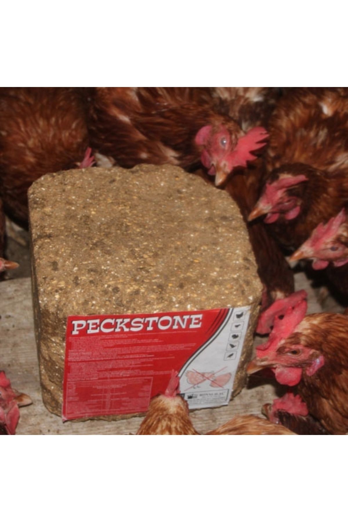 Royal İlaç Royal Ilaç Peckstone Avian Tavuk Gagalama Taşı 4 Kg