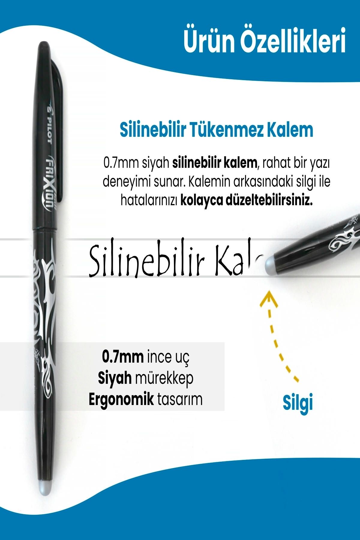 Erasable Ballpoint Pen – Frixion Model
