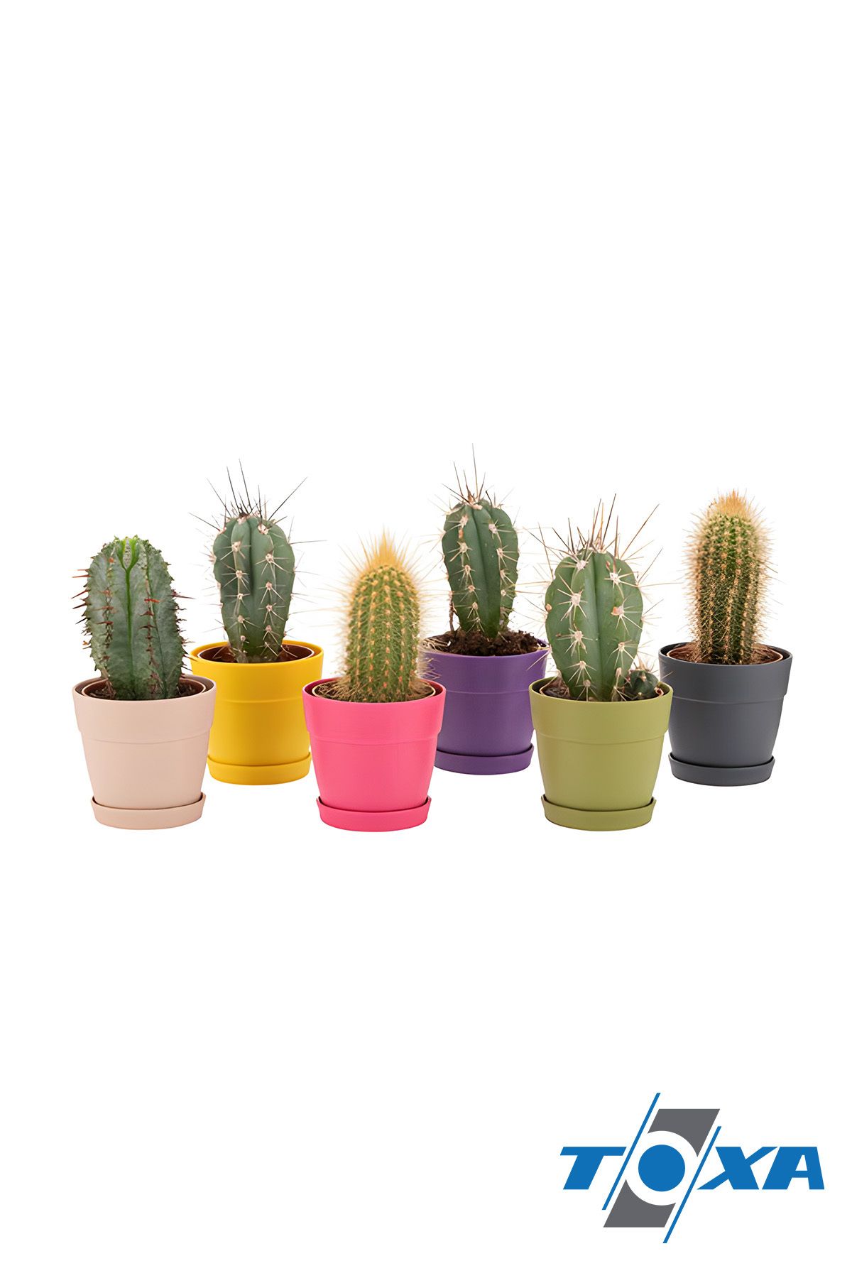 Mini 9cm 0.4 Litre Gri Mono Saksı Dekoratif Tabaklı Mat Çiçek Kaktüs Saksısı 5
