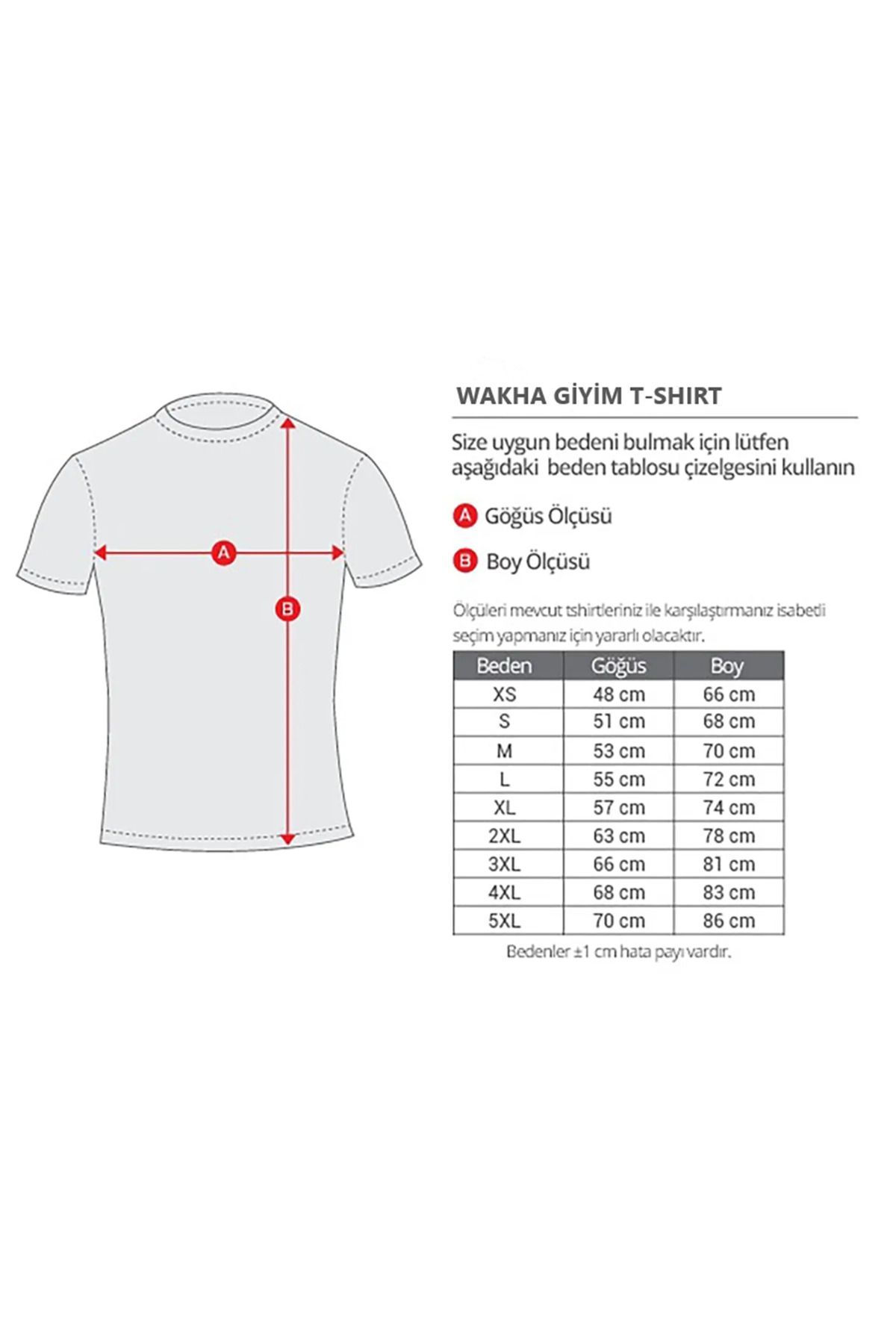 Butik-F1 Audi Formula One Black T-shirt 3