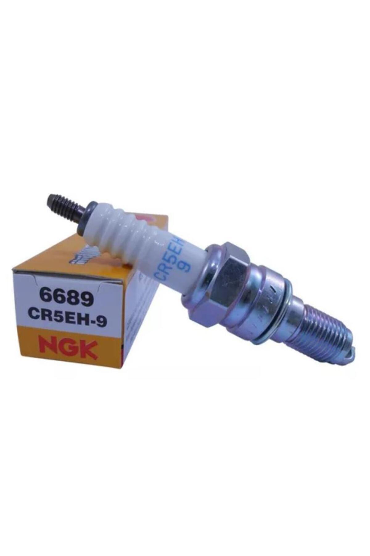 NGK Marine Honda Buji - Cr5eh-9