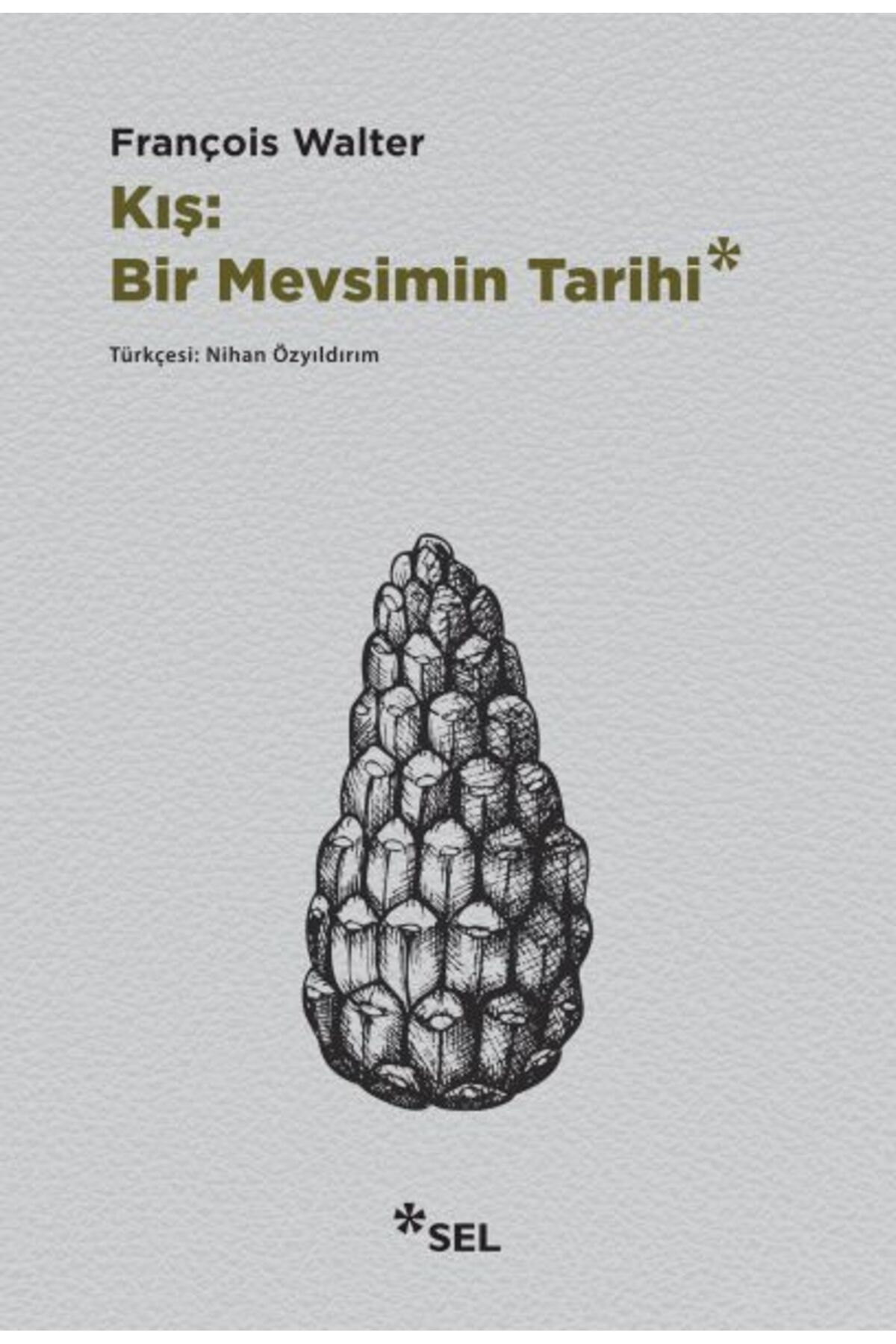 Destek Yayınları Kış: Bir Mevsimin Tarihi