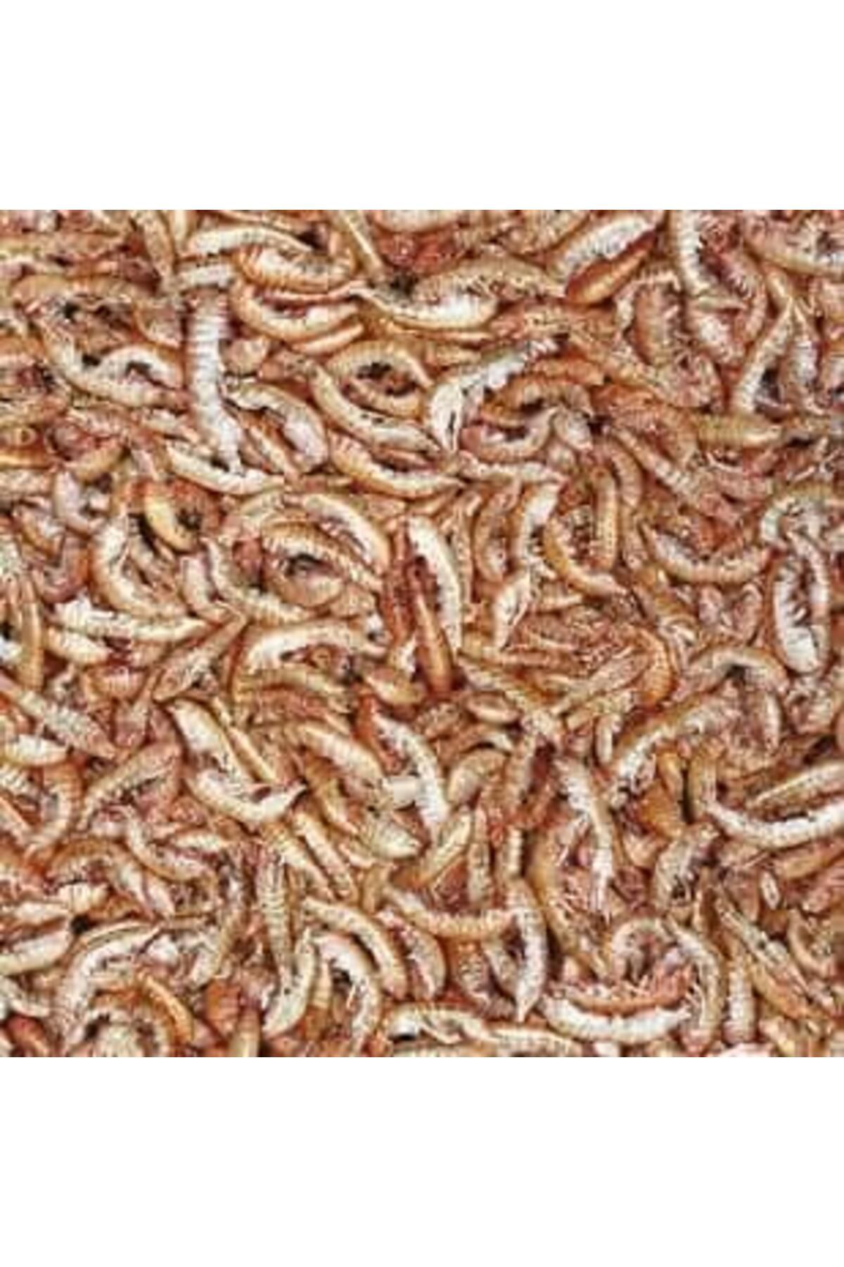 Tropical TROPİCAL GAMMARUS - KARİDES 50 GR