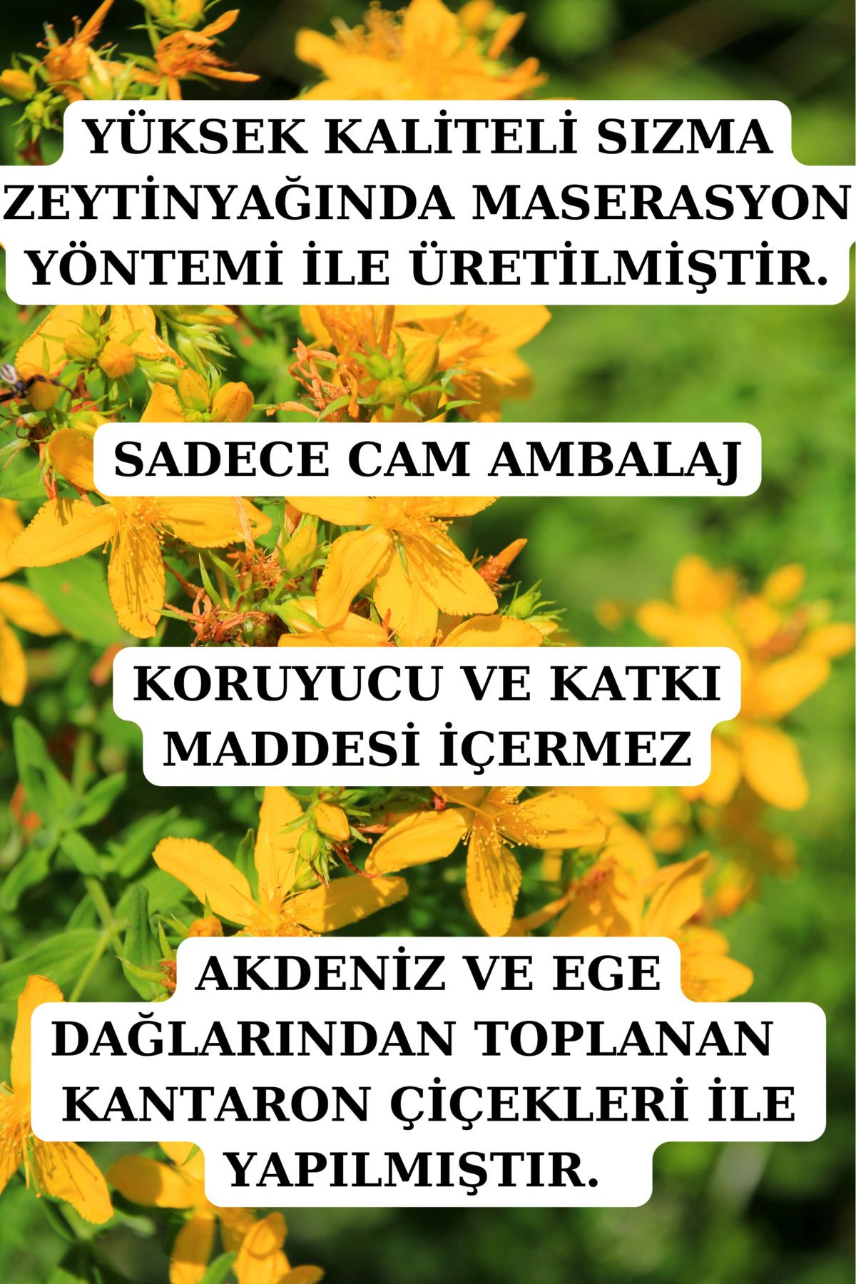 Kantaron Seti - ( Kantaron Kremi 30 ml Ve Kantaron Yağı 100 ml ) — kantaronset1 — تصویر 2 از 4