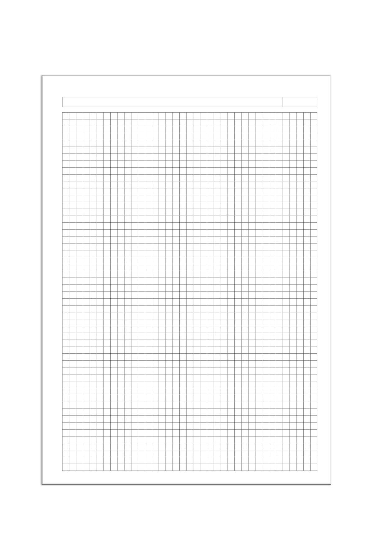 Etika-School Notebook A4 60 Yp. Stitched Kareli (120 Sheets) 3