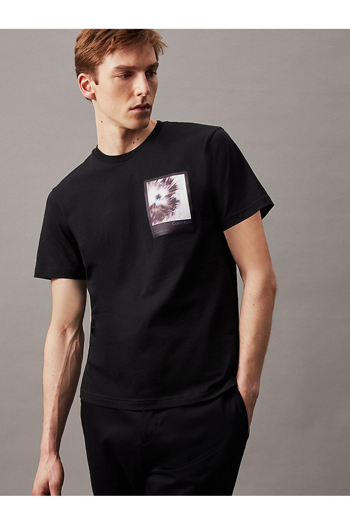 تی شرت سایز بزرگ مشکی مردانه گرافیک گل قاب Calvin Klein