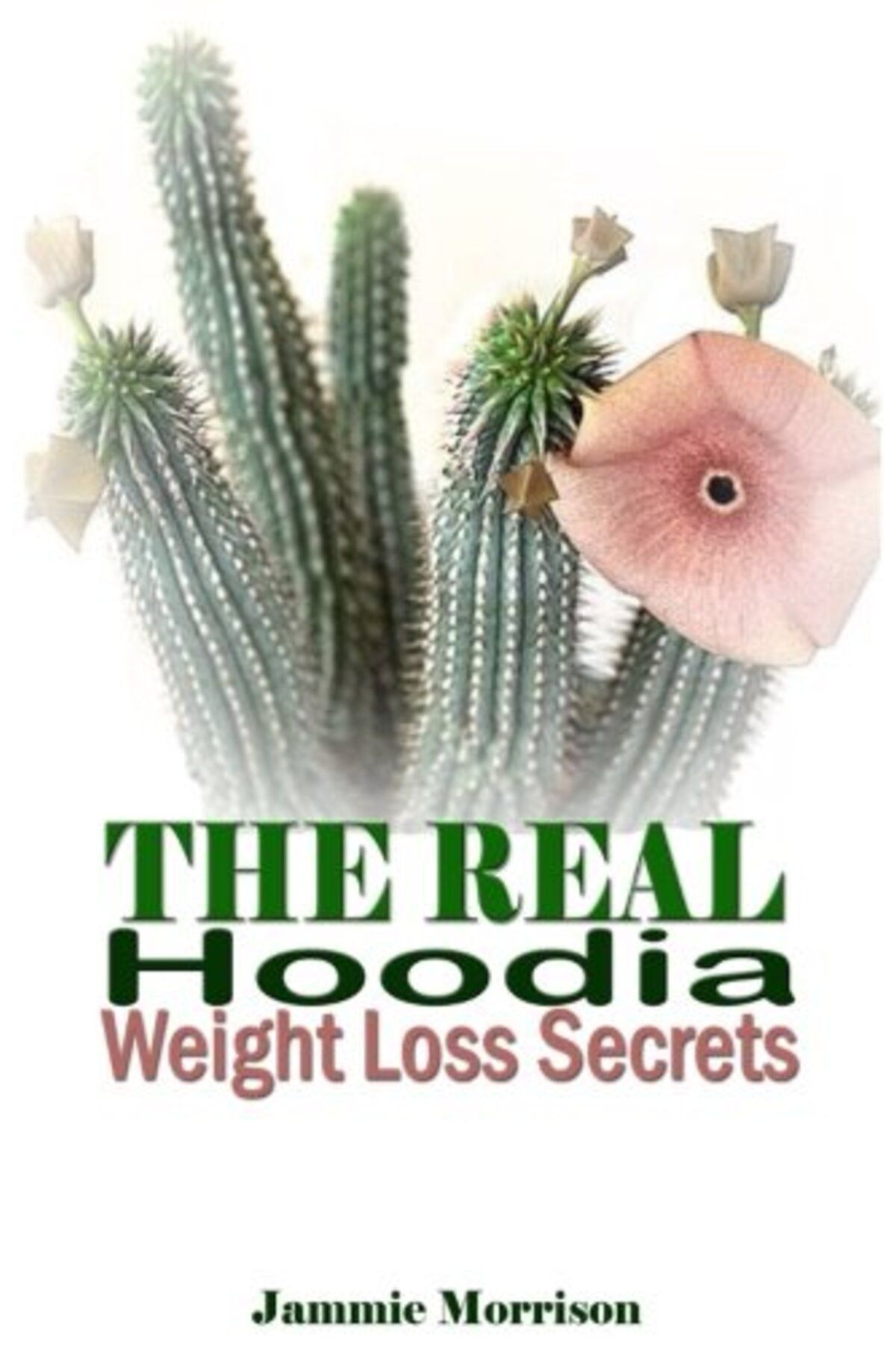 Ingram-The Real Hoodia Weight Loss Secrets And About Everything Else You Could Should And Would Ever Want 1