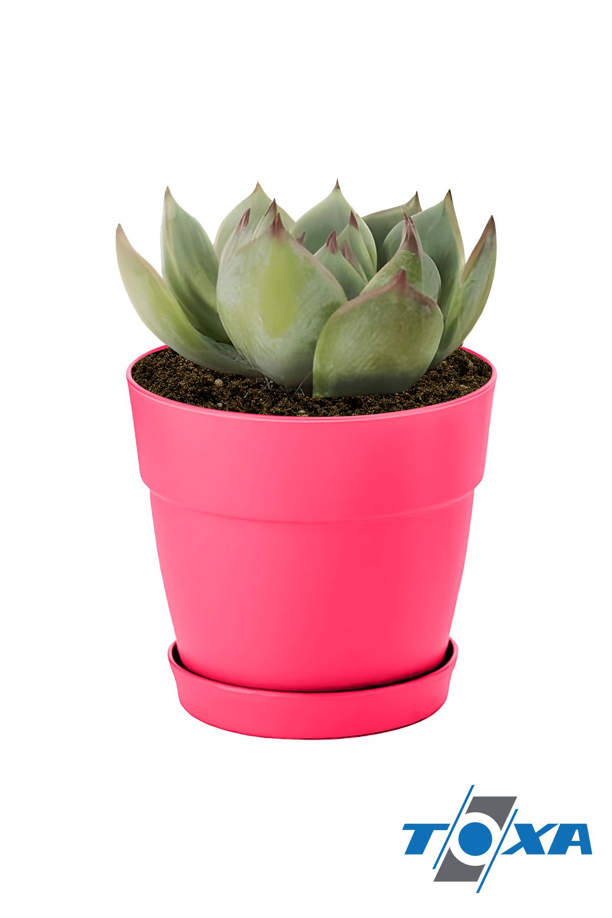 Mini 6cm 0.11 Litre Pembe Mono Saksı Dekoratif Tabaklı Mat Çiçek Kaktüs Saksısı 3