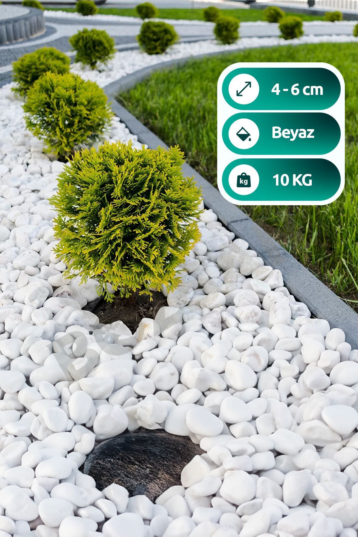 White Dolomite Stone 10 Kg 4-6cm Dolomite Stone Garden Ornament Aquarium Stone Stream Pebble Stone