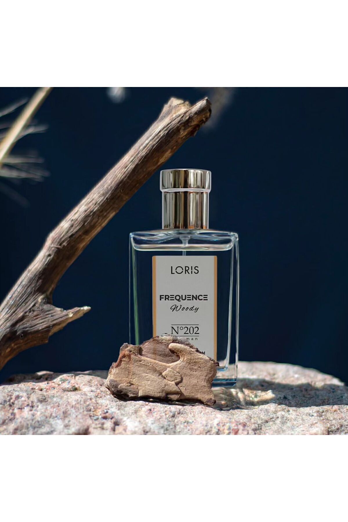 E-202 Frequence Parfume Edp 50 ml Odunsu Erkek Parfüm
