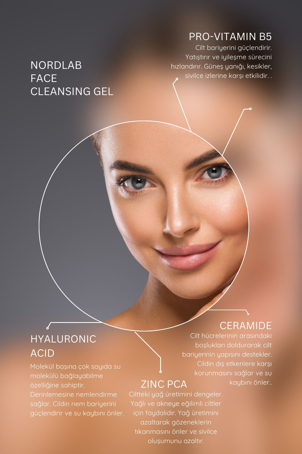 پاک کننده صورت ژل تمیز کردن انیمیشن 400 میل هیالورونیک اسید سرامید روی PCA NORDLAB