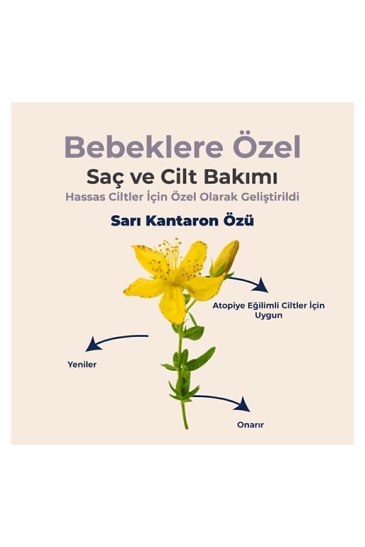 Bambino Bebek Pişik Kremi 50 ml fotoğrafı 3 (önizleme)