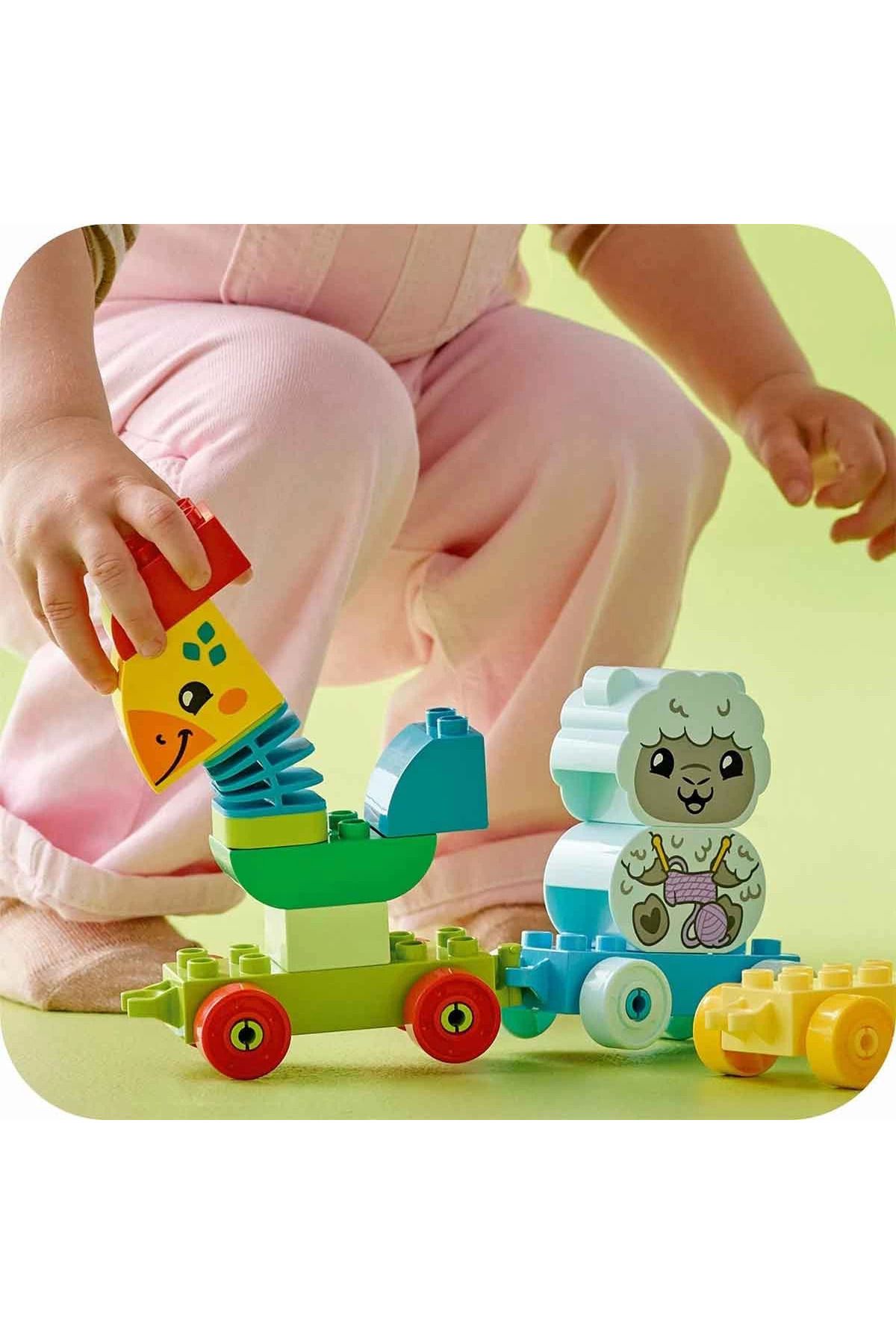 مدل ۱۰۴۱۲ با قطار حیوانات