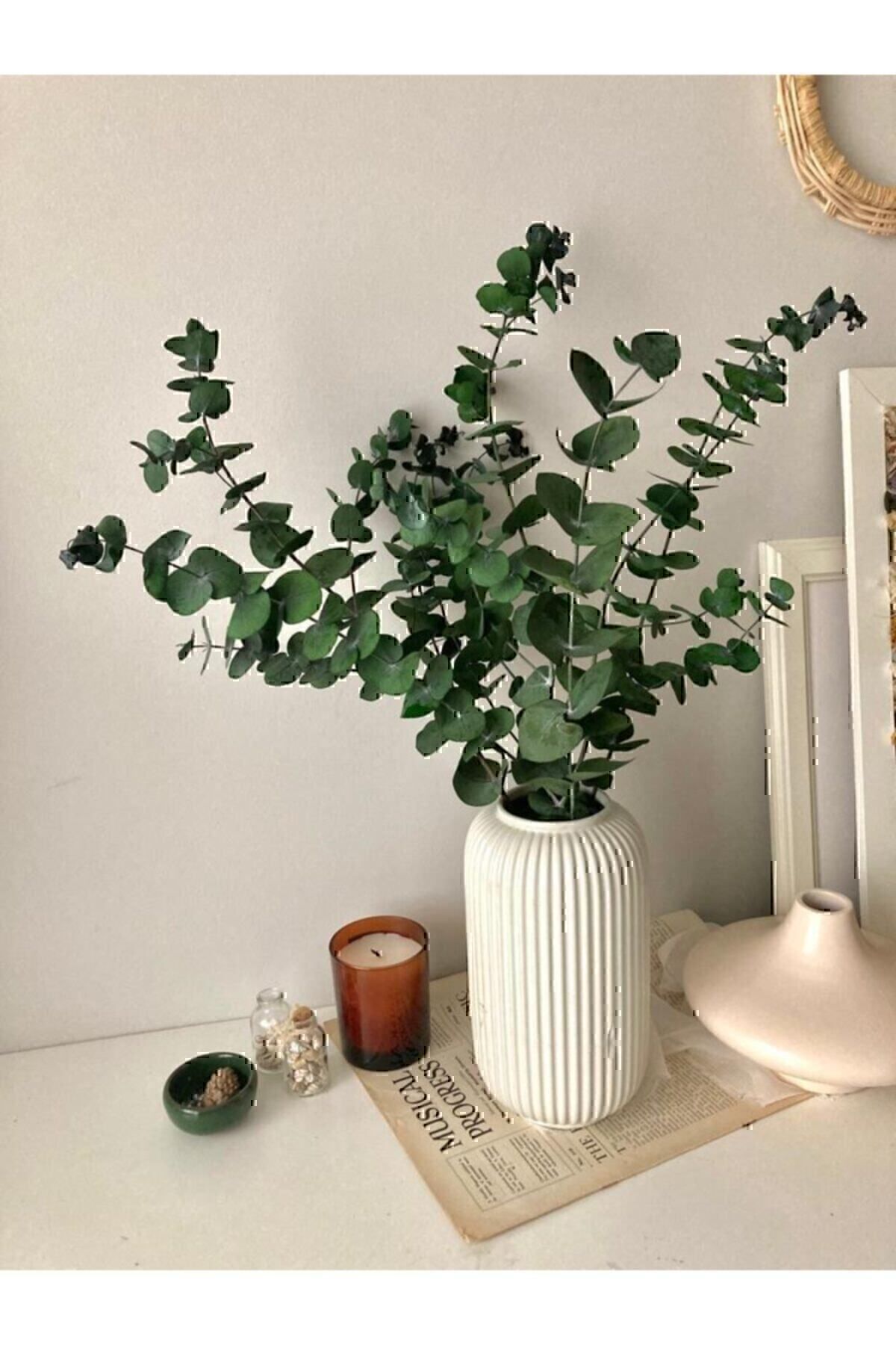 le choc des feuilles deucalyptus vert 5 feuilles